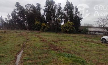 Agrícola en Venta en Sector El Milagro San Rafael