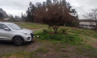 Agrícola en Venta en Sector El Milagro San Rafael