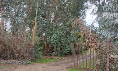 Agrícola en Venta en Sector El Milagro San Rafael