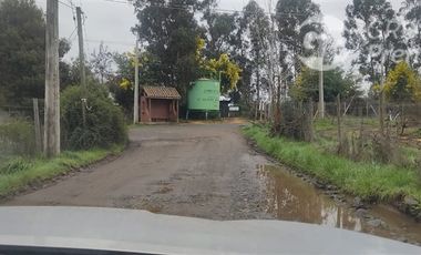 Agrícola en Venta en Sector El Milagro San Rafael