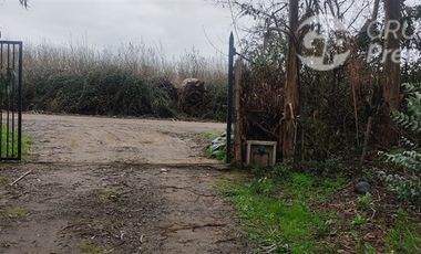 Agrícola en Venta en Sector El Milagro San Rafael