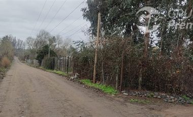 Agrícola en Venta en Sector El Milagro San Rafael