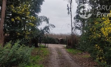 Agrícola en Venta en Sector El Milagro San Rafael