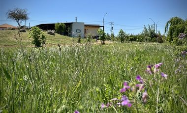 Casa en Arriendo en Quilvo Alto