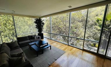 DEPARTAMENTO EN RENTA FRENTE AL PARQUE LINCOLN