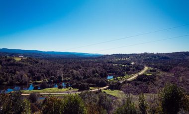 TERRENO AGRÍCOLA SECTOR LOS CAÑONES  FRESIA