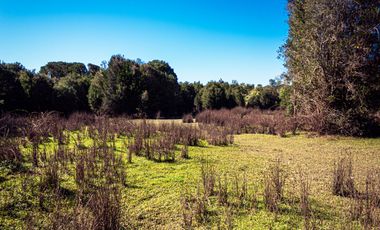 TERRENO AGRÍCOLA SECTOR LOS CAÑONES  FRESIA