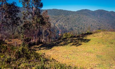 TERRENO AGRÍCOLA SECTOR LOS CAÑONES  FRESIA