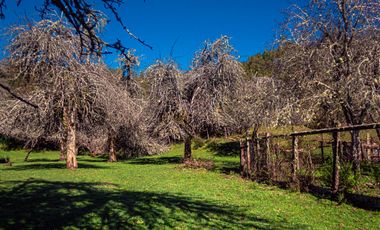 TERRENO AGRÍCOLA SECTOR LOS CAÑONES  FRESIA