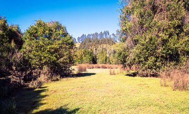 TERRENO AGRÍCOLA SECTOR LOS CAÑONES  FRESIA