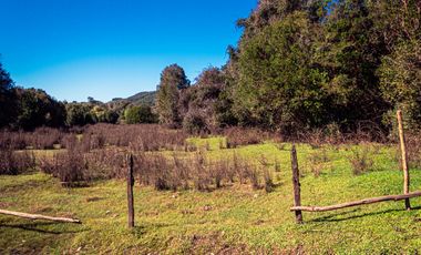 TERRENO AGRÍCOLA SECTOR LOS CAÑONES  FRESIA