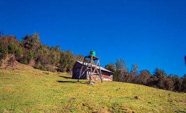 TERRENO AGRÍCOLA SECTOR LOS CAÑONES  FRESIA