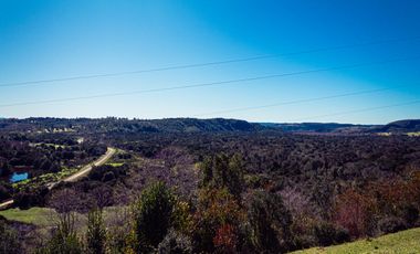 TERRENO AGRÍCOLA SECTOR LOS CAÑONES  FRESIA
