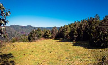 TERRENO AGRÍCOLA SECTOR LOS CAÑONES  FRESIA