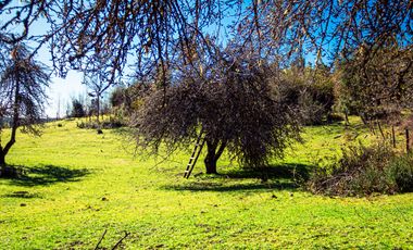 TERRENO AGRÍCOLA SECTOR LOS CAÑONES  FRESIA