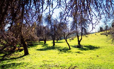 TERRENO AGRÍCOLA SECTOR LOS CAÑONES  FRESIA