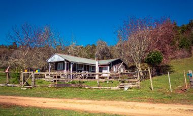 TERRENO AGRÍCOLA SECTOR LOS CAÑONES  FRESIA