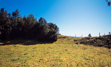 TERRENO AGRÍCOLA SECTOR LOS CAÑONES  FRESIA
