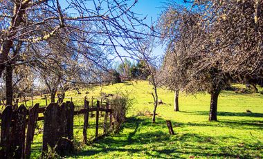 TERRENO AGRÍCOLA SECTOR LOS CAÑONES  FRESIA