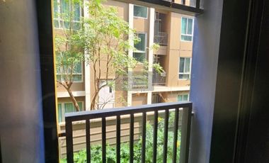 FOR RENT Condo D condo shine rangsit  CX-134137