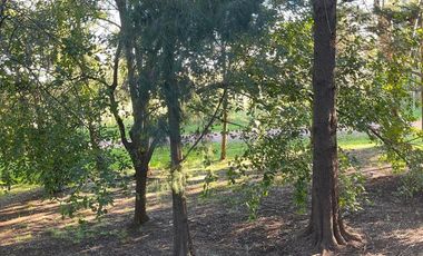 Casa venta Parque las Naciones Guernica