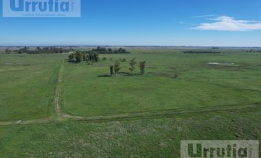 Campo en venta en Lobos