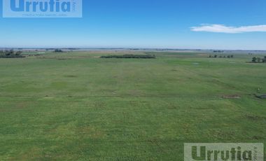 Campo en venta en Lobos