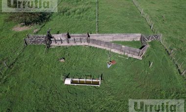 Campo en venta en Lobos