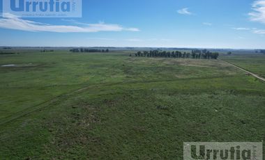 Campo en venta en Lobos
