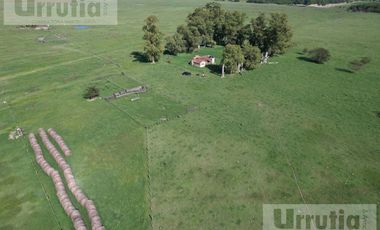 Campo en venta en Lobos