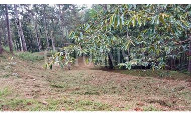 OPORTUNIDAD! Se Vende Terreno en Cerro Azul