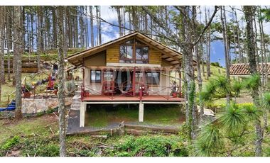 OPORTUNIDAD! Se Alquila hermosa Casa en Altos del Maria