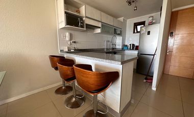 Excelente departamento en Jardín del Mar