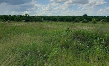 Terreno Campestre para Quinta | El Fraile Motemorelos NL