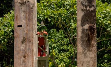Hacienda de 300 ha y cenote privado, en venta en Tecoh
