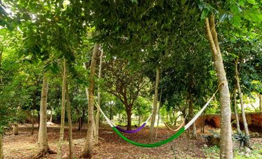 Hacienda de 300 ha y cenote privado, en venta en Tecoh