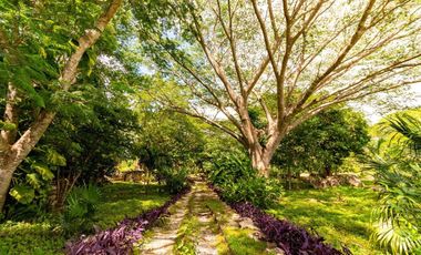 Hacienda de 300 ha y cenote privado, en venta en Tecoh