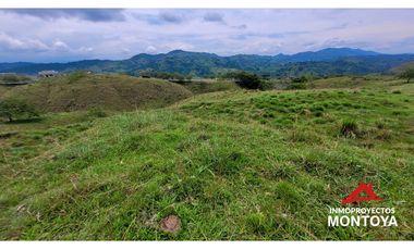 Lotes industriales y comerciales en Cerritos sobre la vía a Cartago