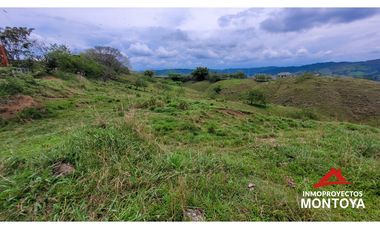 Lotes industriales y comerciales en Cerritos sobre la vía a Cartago