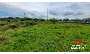 Lotes industriales y comerciales en Cerritos sobre la vía a Cartago