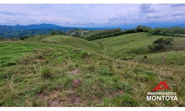 Lotes industriales y comerciales en Cerritos sobre la vía a Cartago