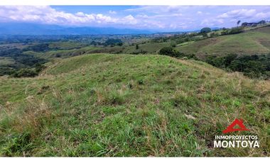 Lotes industriales y comerciales en Cerritos sobre la vía a Cartago