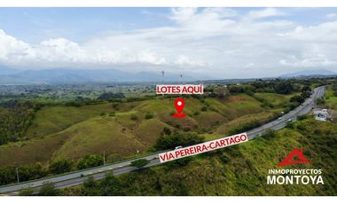 Lotes industriales y comerciales en Cerritos sobre la vía a Cartago