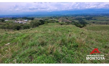 Lotes industriales y comerciales en Cerritos sobre la vía a Cartago