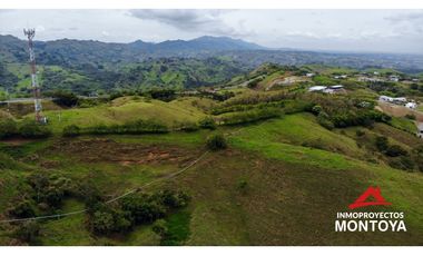 Lotes industriales y comerciales en Cerritos sobre la vía a Cartago