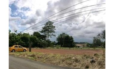 FINCA EN CHORRERA, 1200 METROS EN ESQUINA