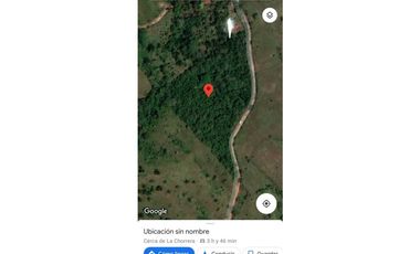 VENDE FINCA EN EL LIRIO DE LA CHORRERA, 2 HECTAREAS, UN RINCONCITO