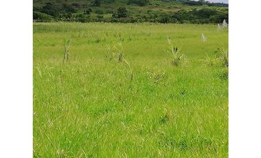 VENDE FINCA EN EL LIRIO DE LA CHORRERA, 2 HECTAREAS, UN RINCONCITO