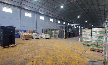 Bodega en Arriendo en GALPÓN EN ARRIENDO EN CONDOMINIO INDUSTRIAL DE GRAN AVENIDA