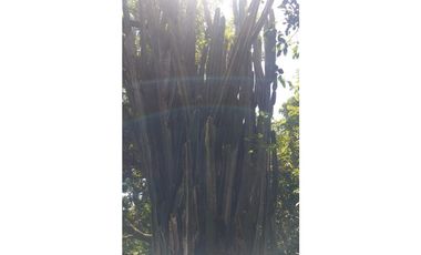 LOTE EN VENTA EN SANTA BARBARA